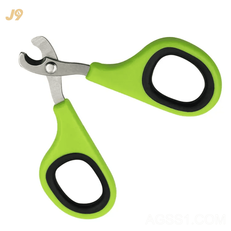 宠物玩具英文kong宠货品牌先容毛绒宠物玩具狗狗玩具